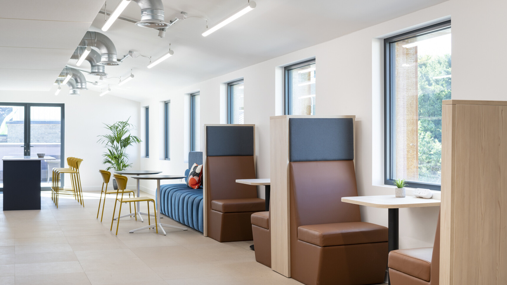 CATS Hunts Office Marek Sikora Photography SMALL 16