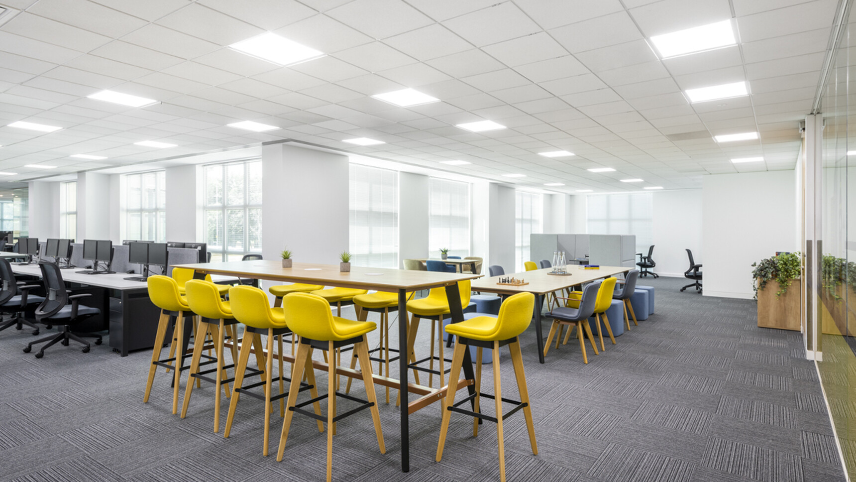 Hunts Office Hertz Office Curator SMALL 4