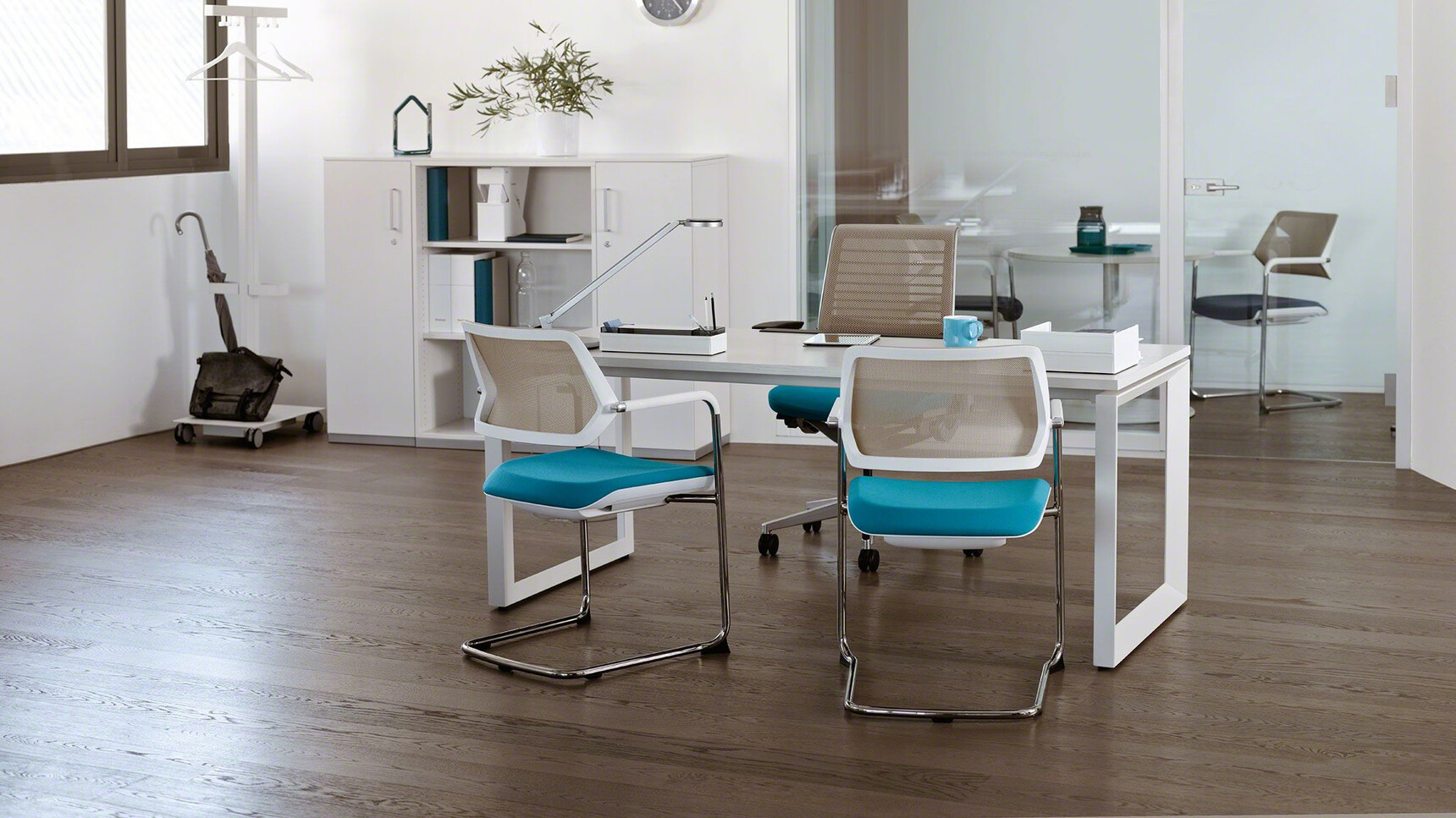 Two Steelcase Qivi Sled Base Conference Chairs Chrome Base Finish White Fixed Arms Backrest Blue Upholstery At Frameone Fixed Height Desk Think 3D Knit Back