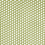 Apple Green 12