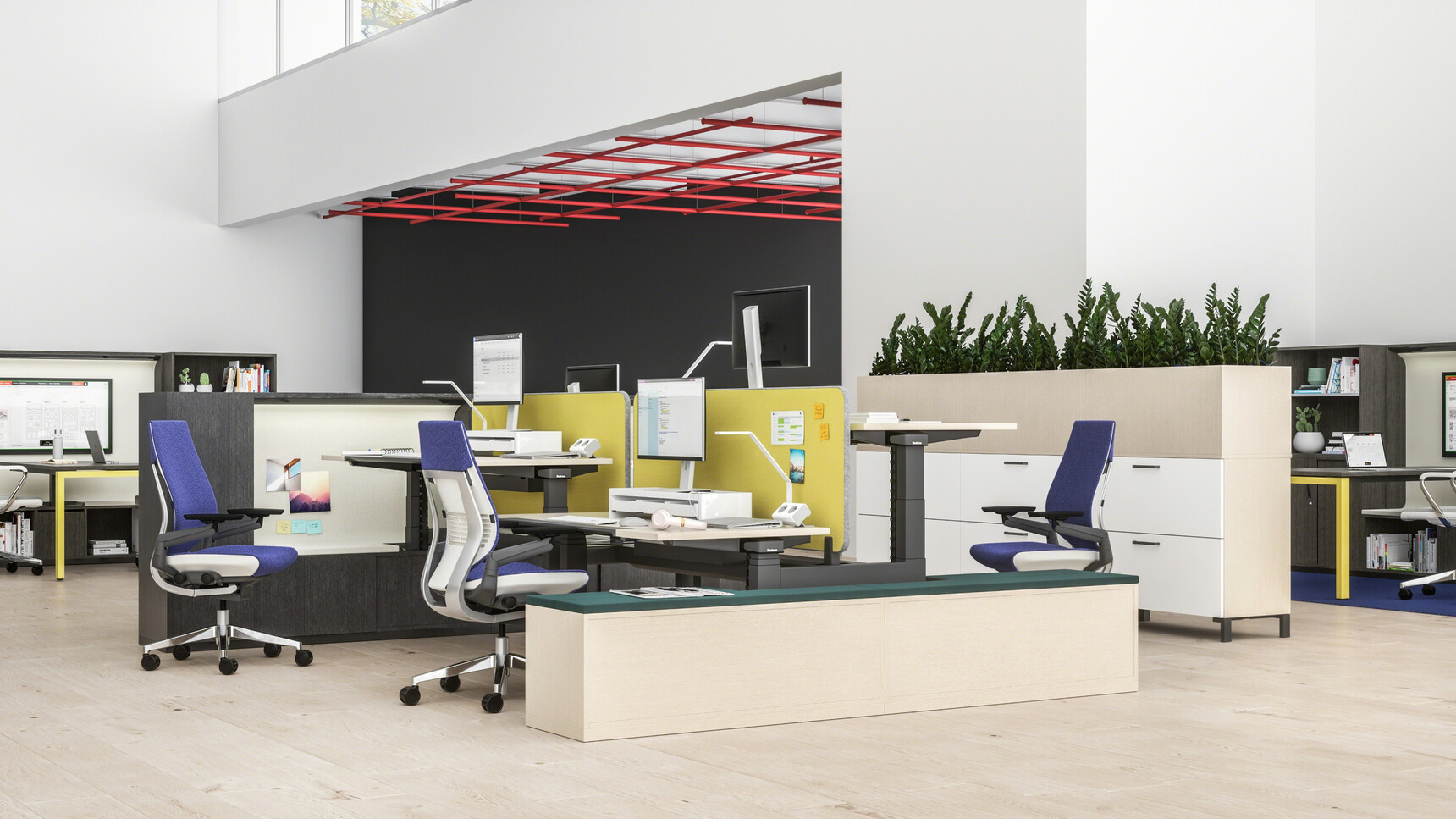 Steelcase Ology Height Adjustable Bench Desk With Active Touch And Wood Table Tops And Black Legs With Three Gesture Wrapped Back Office Chairs With Blue Upholstery At Desks