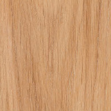 Beech