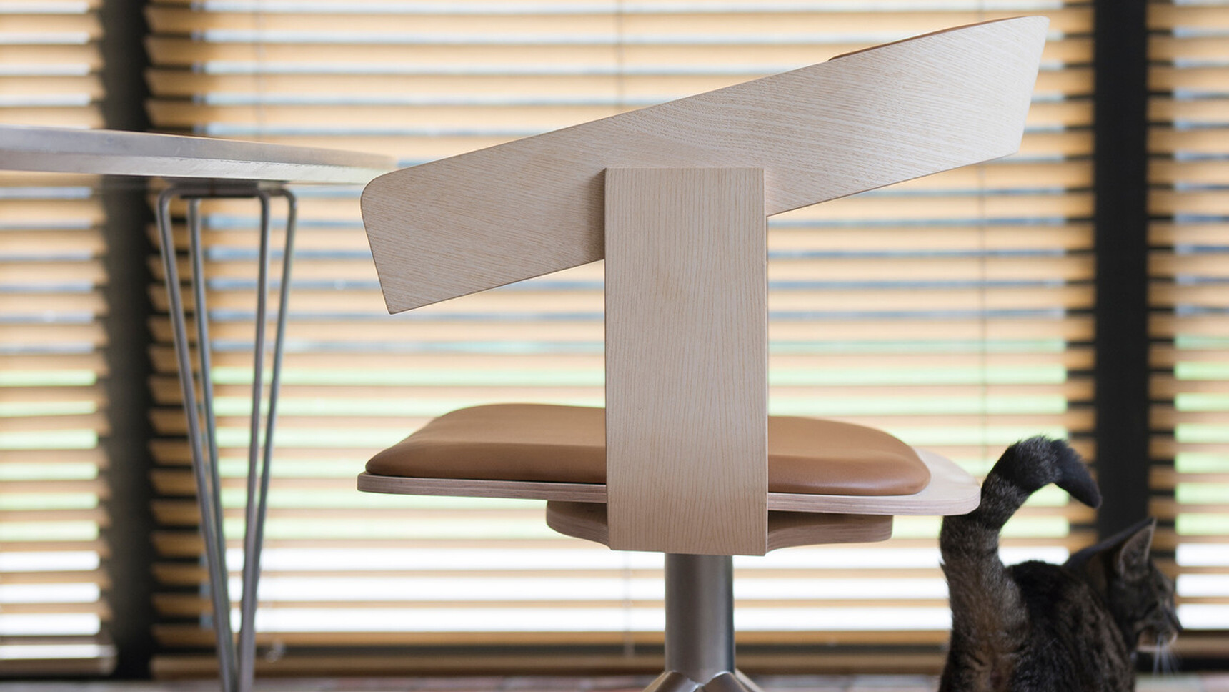 Buzzi Space BuzziFloat Cross Meeting Chair With Wood Frame Detail Image With Cat