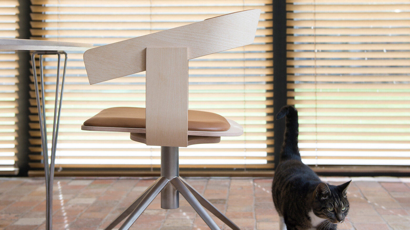 Buzzi Space BuzziFloat Cross Meeting Chair With Wood Frame And Metal Base Detail Image With Cat