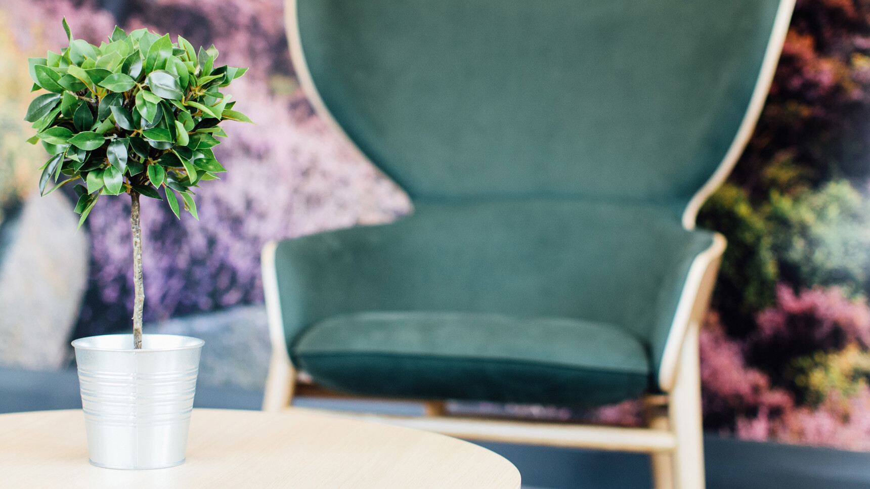 Connection Hygge High Rocker With Green Upholstery And Oak Finish At Table With Plant
