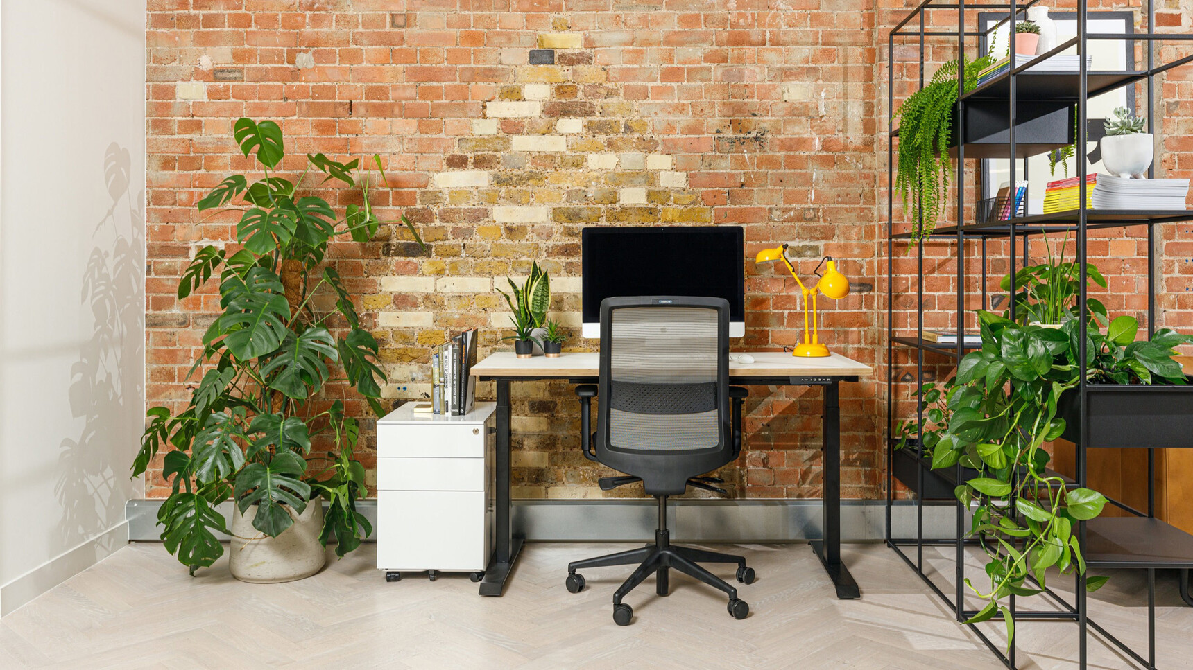 Workstories Sit-stand Solo Height Adjustable Desk With Ply Edge With White Top Finish And Black Leg Frame With White Pedestal At Desk Family Image