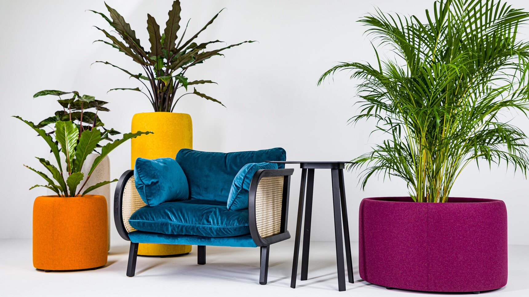 Buzzi Space BuzziPlanter Family Image