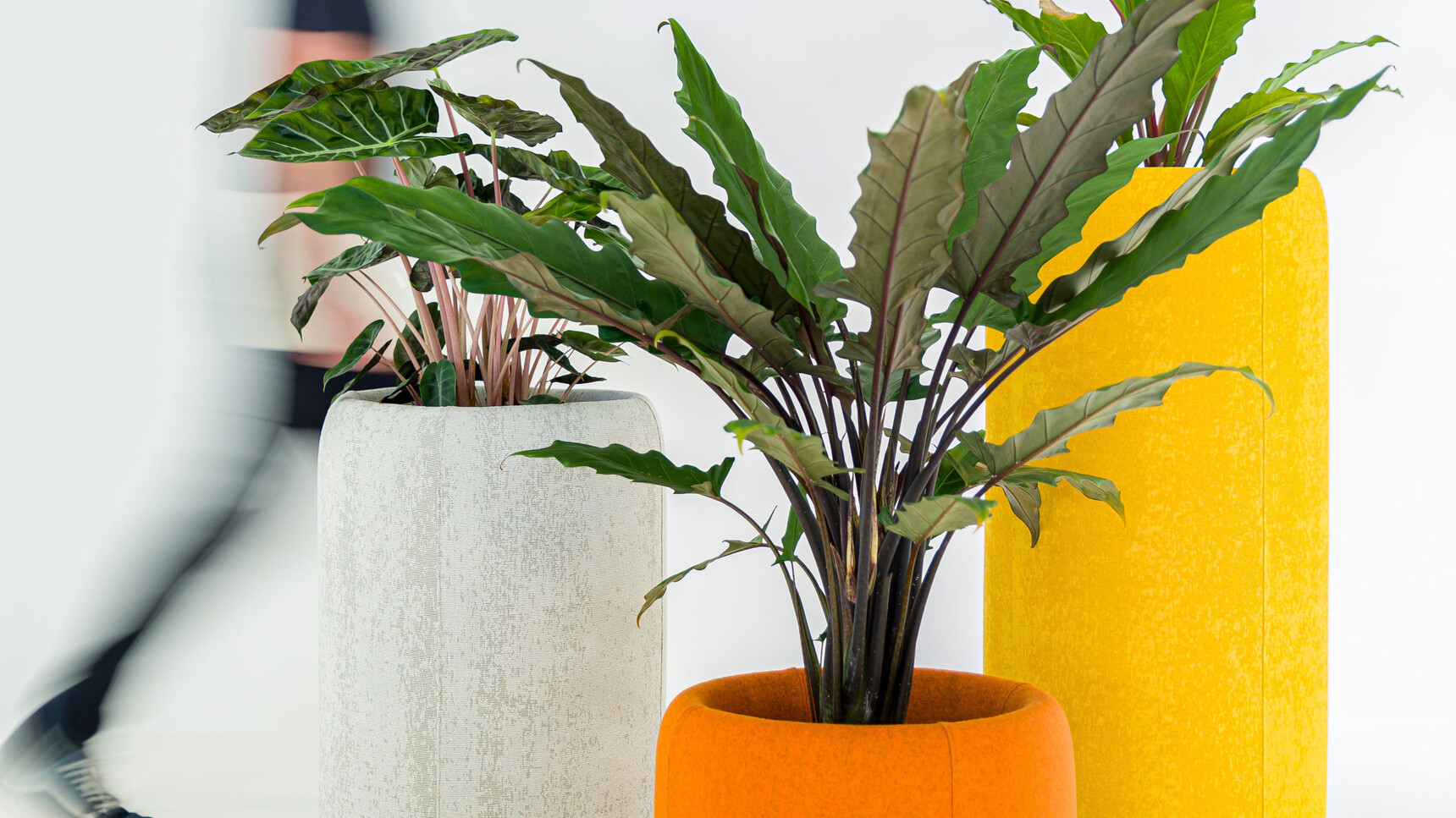 Buzzi Space BuzziPlanter Detail Image