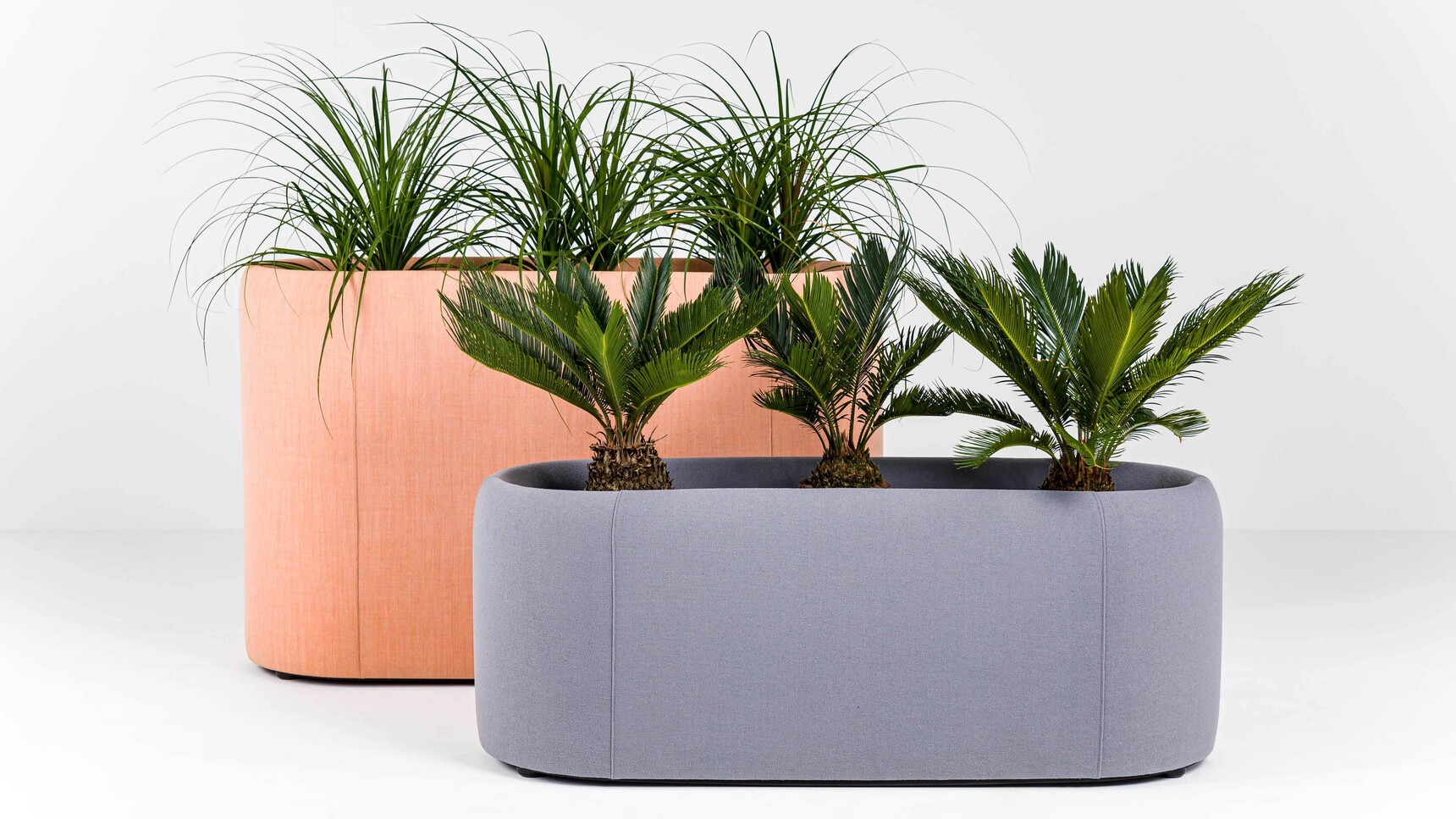 Buzzi Space BuzziPlanter Acoustic Planter 45 Long Family Image Showing Both Heights