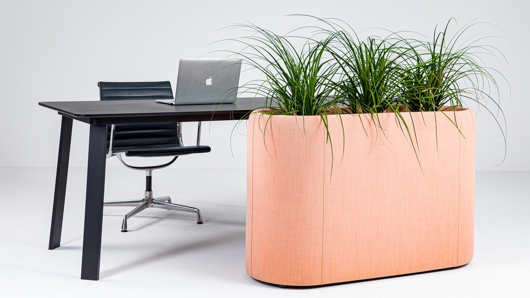Buzzi Space BuzziPlanter Acoustic Planter 45 Long Pink Upholstery With Desk Family Image