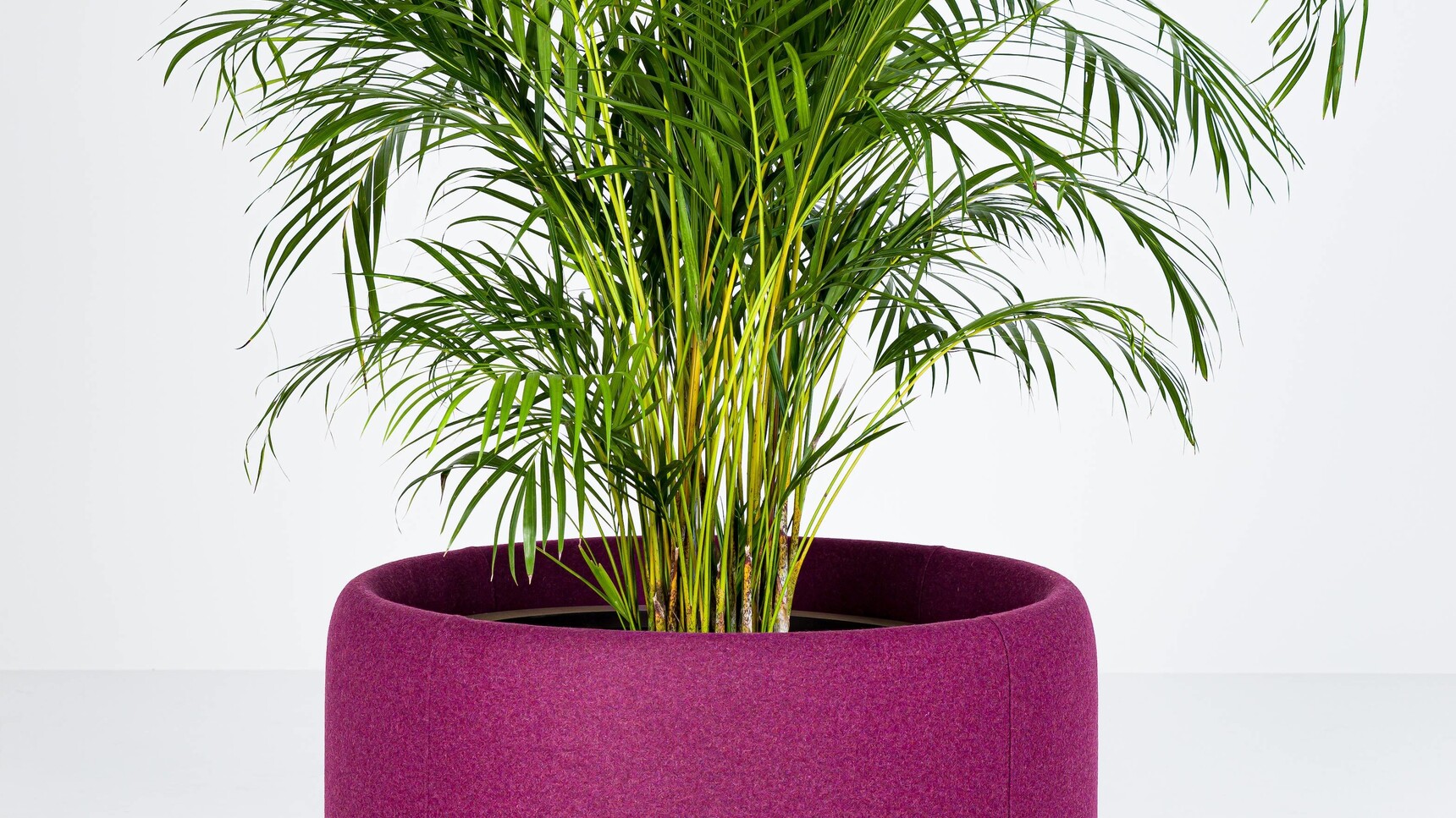 Buzzi Space BuzziPlanter Acoustic Planter 80 Purple Upholstery Detail Image