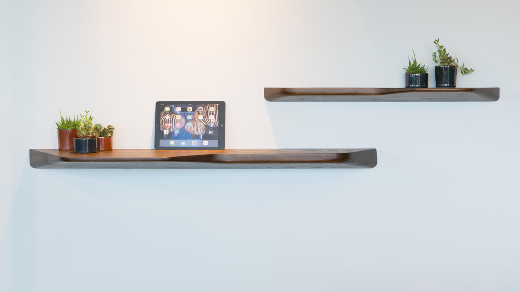 Buzzi Space BuzziPlank Multipurpose Shelf Family Image With Plants On White Background