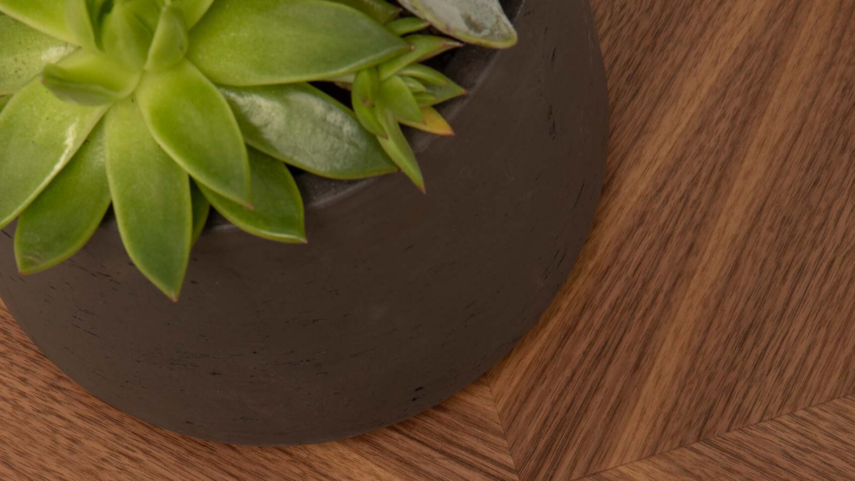 William Hands Vantage Coffee Tables ø500mm Depth Walnut Detail Image