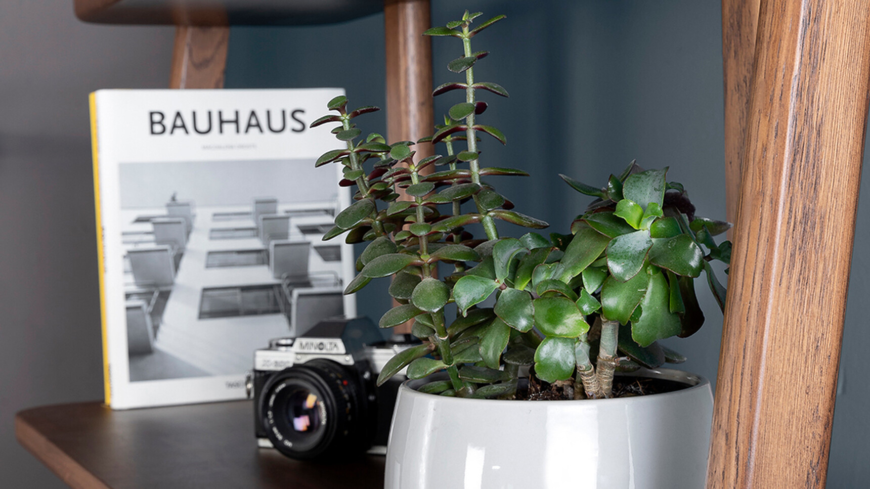 William Hands Embrace Home Office Desk Detail Image Of Plant