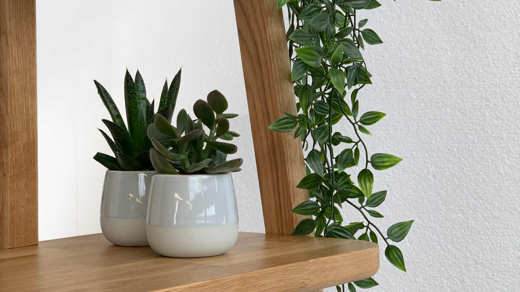 William Hands Embrace Home Office Desk Detail Image Of Plants On Shelf