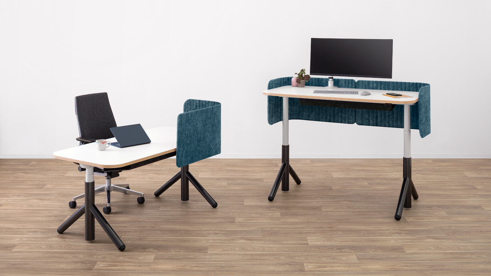 Two Steelcase Flex Height Adjustable Desks With White Table Top Finish And Black Leg Finish And Wood Edges With Blue Privacy Screens One Height Adjusted To The Highest Setting The Other To The Lowest