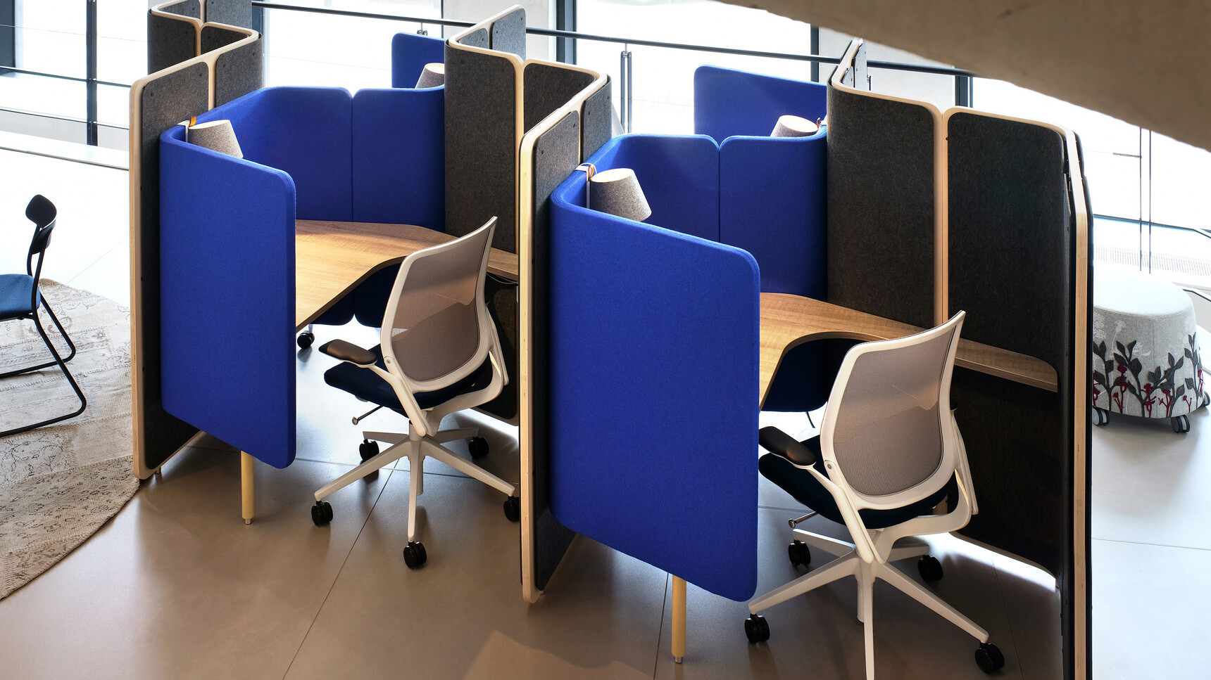 COPPICE FOCUS Family3