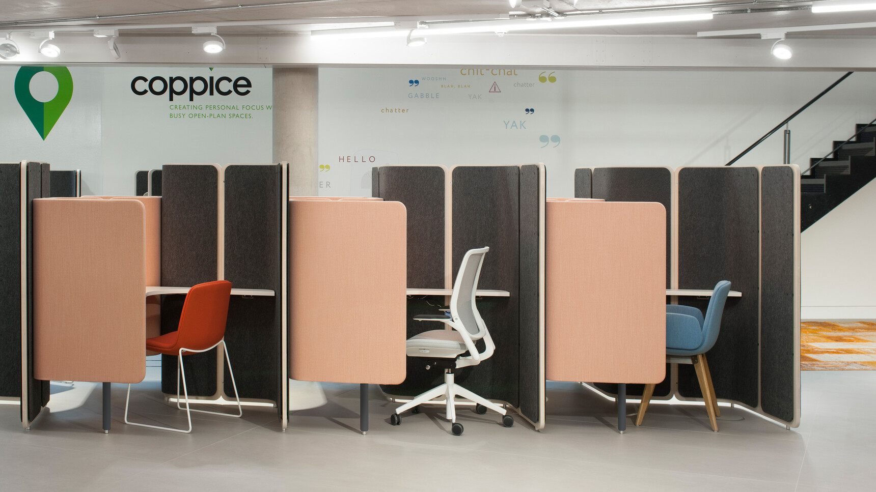 COPPICE FOCUS Family1