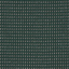 Peacock - AR14