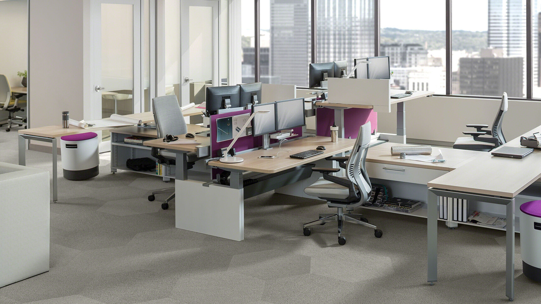 Steelcase Migration Height Adjustable Bench Desk With Wood Table Top Finish And Grey Leg Finish With Purple Privacy Screen And Two Frameone Desks And Two Gesture Wrapped Back Office Chairs In Grey Upholstery