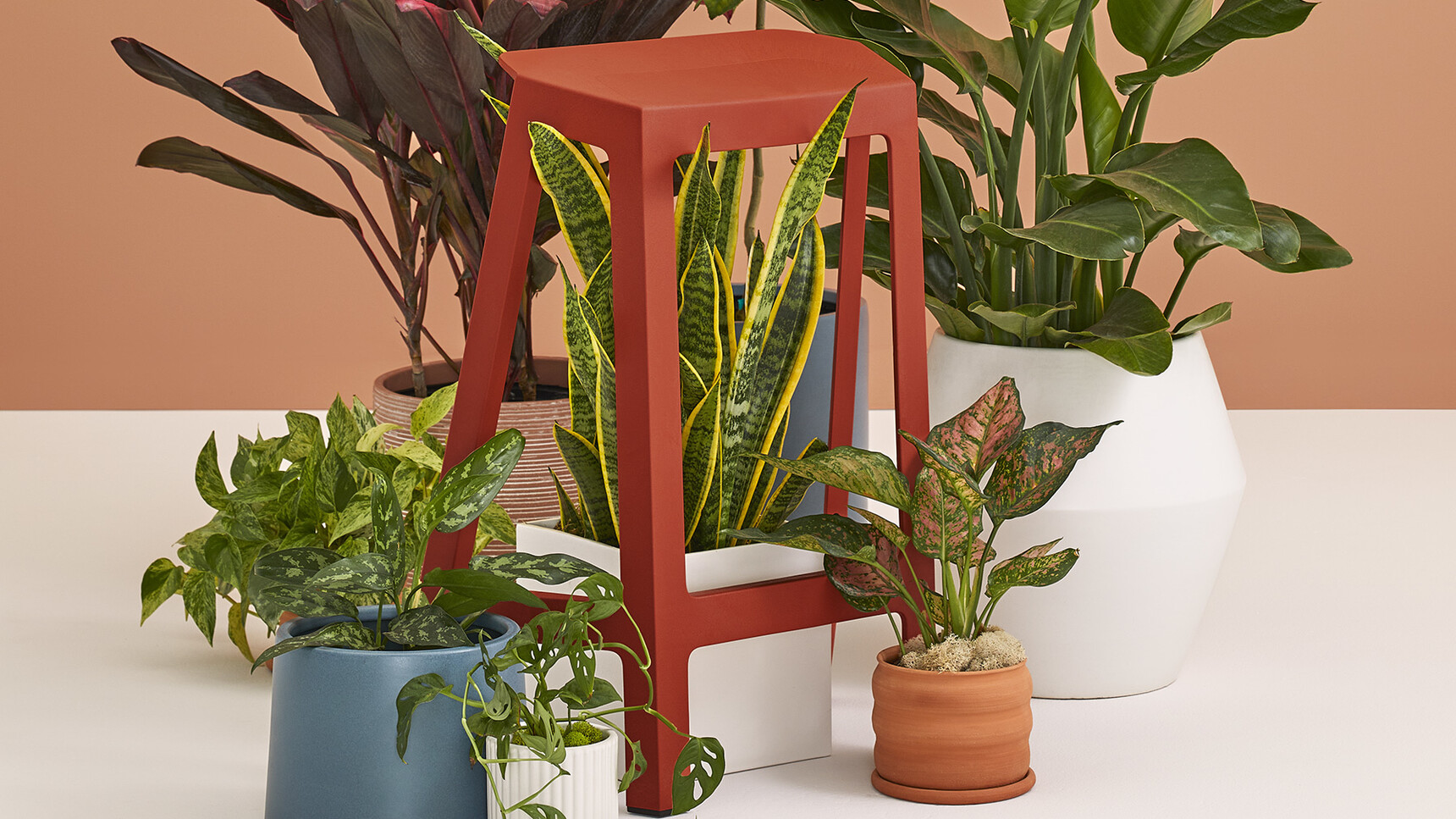 Steelcase Flex Perch Stool Red Finish Detail Image