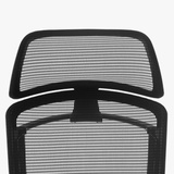 Fixed Mesh Headrest