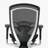 Lumbar Support