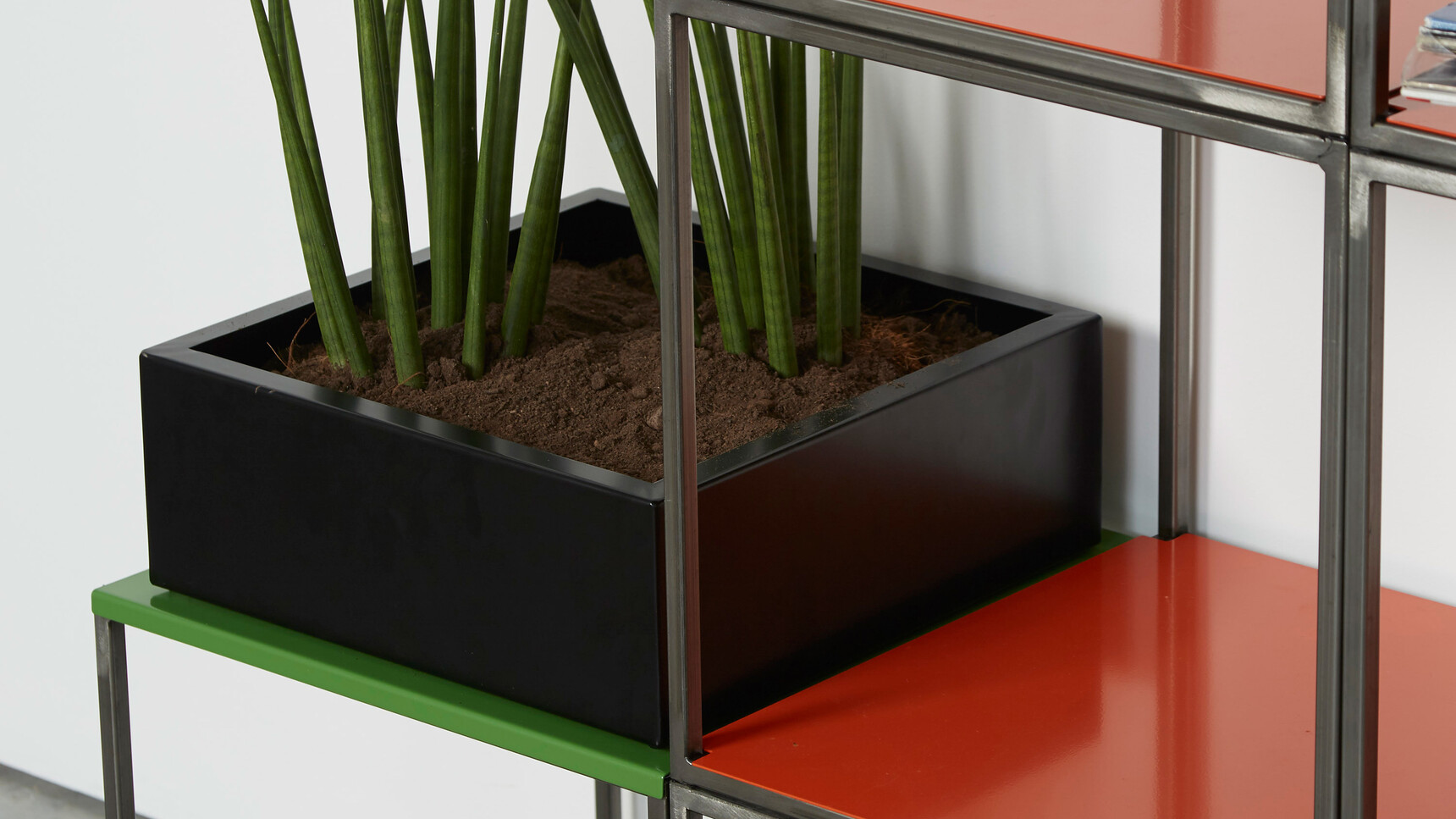 Rawside Cage Family5