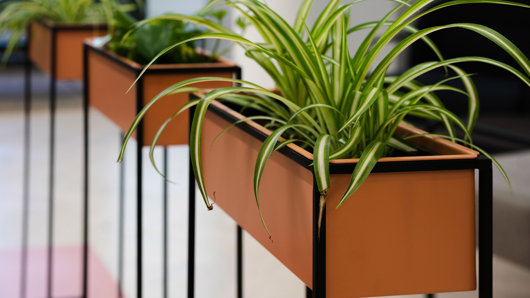 Workstories Settle Planter Family Image