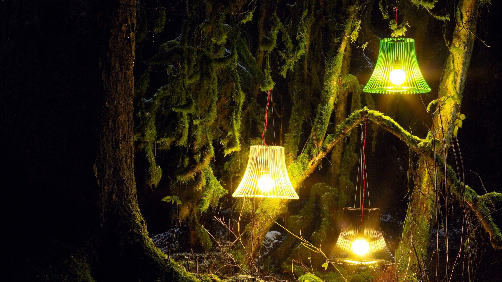 Deadgood Wire Pendant Lamps | Small Studio Image