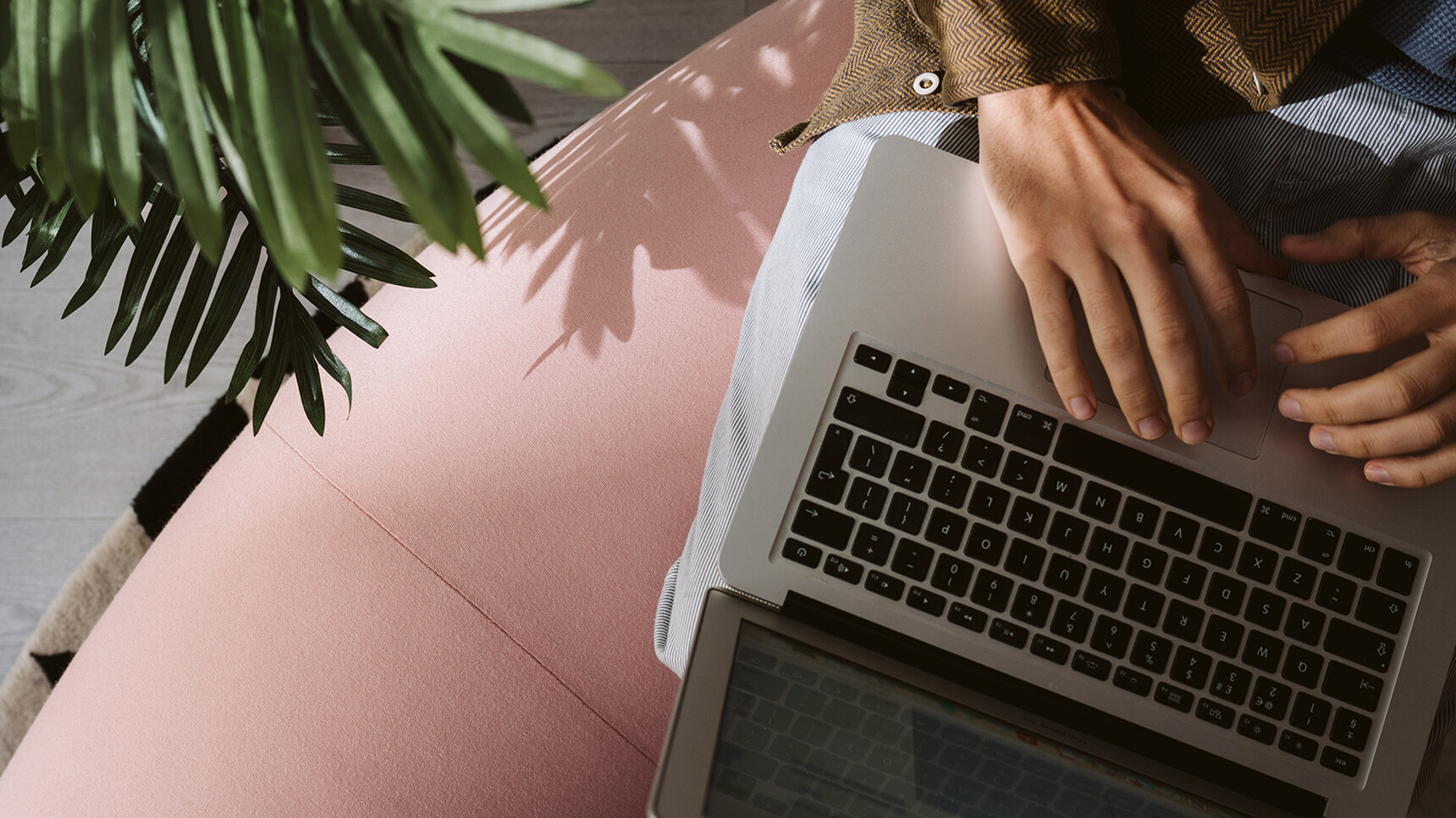 Deadgood Woody Bench | Curve Pink Upholstery Person With Laptop Family Image