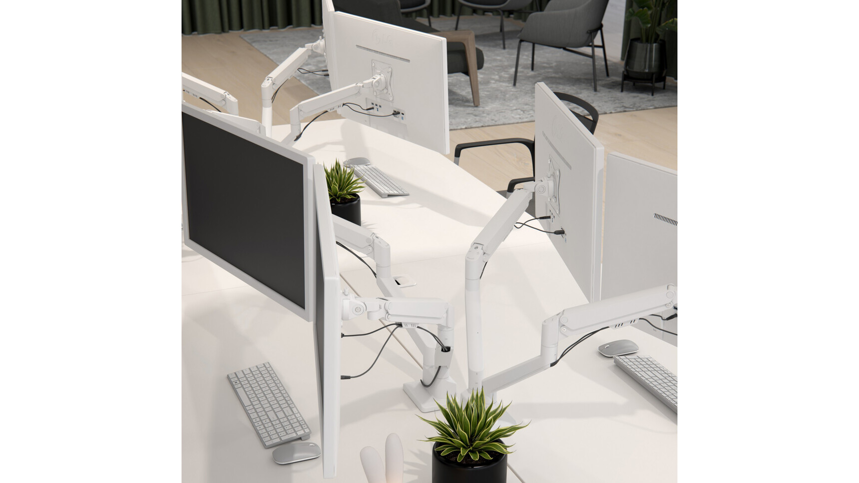 Elite Maya Dual Monitor Arms White Matt Finishes In Office Environment