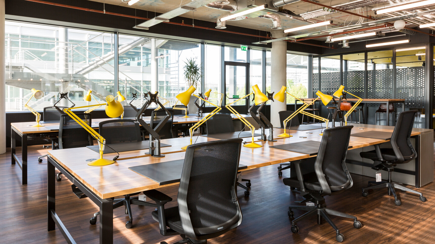 Twelve Workstories J1 Mesh Back Office Chairs Black Upholstery Finish At Desks Wood Finish
