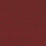 Xtreme - Tokara YS136