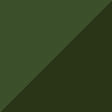 Ivy Two Tone