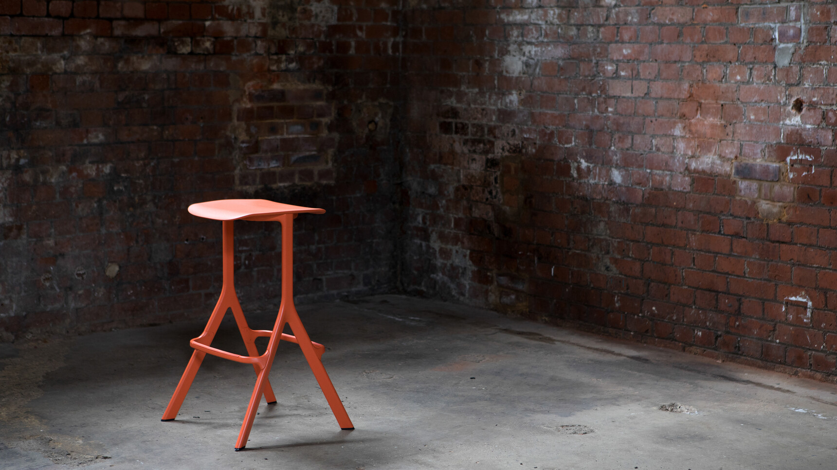 Allermuiraxylstoolfamily