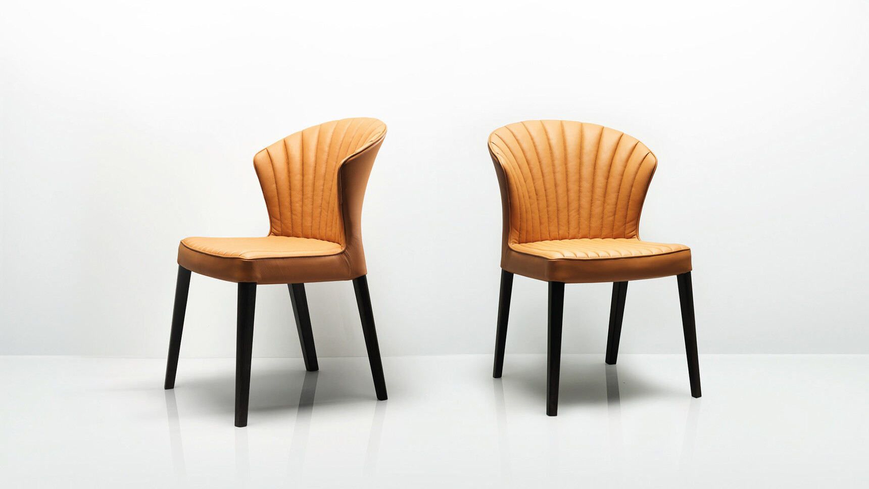 Allermuircarditachairfamily