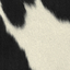 Black/White