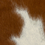 Brown/White