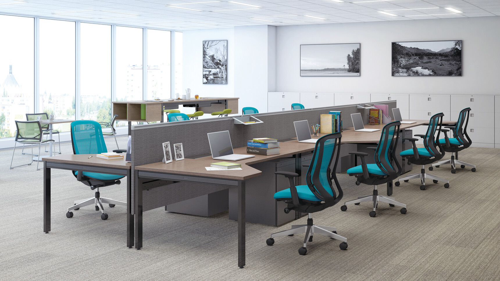 Okamurasylphyfamily1