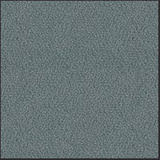 Blizzard - YP081