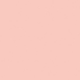 Pale Rose