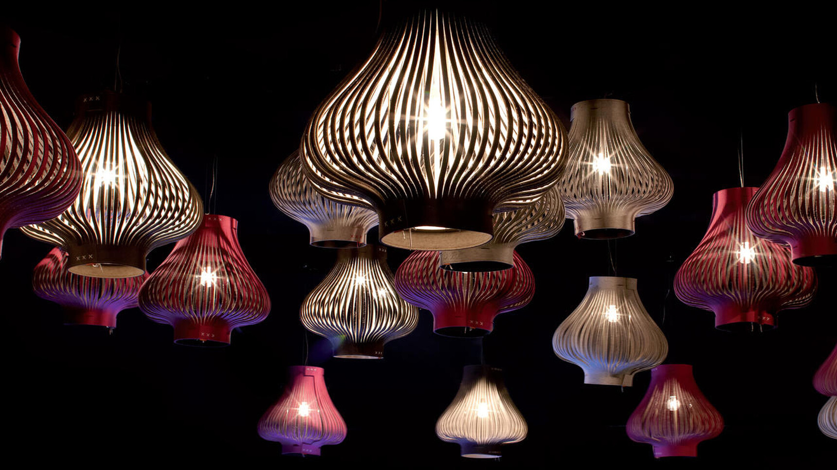 Buzzilightmonofamily