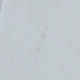 Stained White