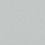 Seagull