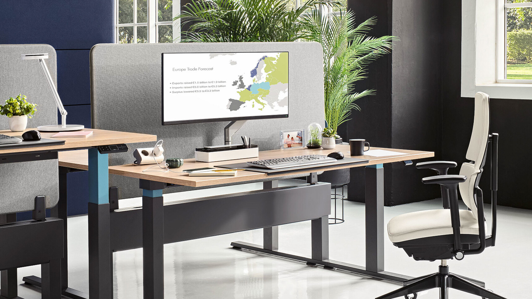 Steelcase Migration SE Height Adjustable Bench Desks With Wood Table Top Finish And Black Leg Finish And Steelcase Chair In Office Environment