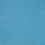 Blue Jay - 5T23