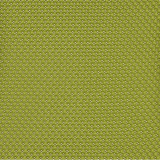 Wasabi - 5T26