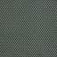 Peacock - 5T33