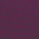 Concord Purple AT23